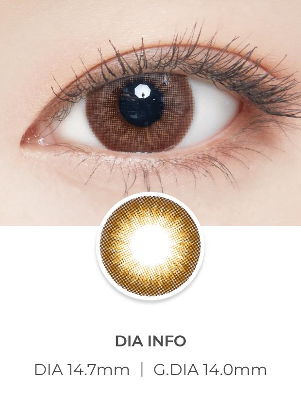 Lensvery Big Class Brown - 月con (2p)