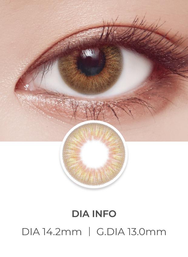 Lensvery Vellica Brown - 月con (2p)