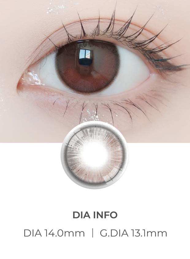 Ann365 Anreen Brown Choco - 月con (2p)