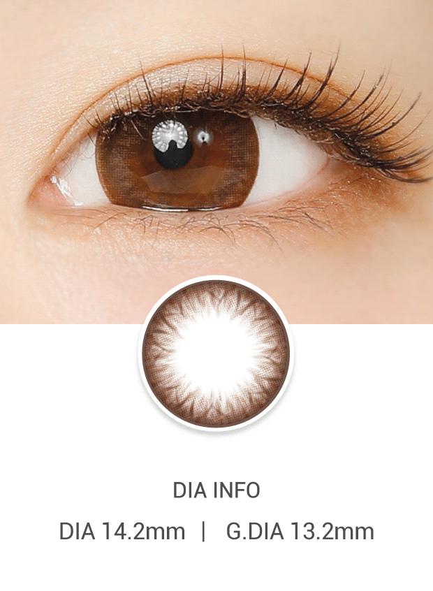 Ann365 Ann 1Day Choco (10p)