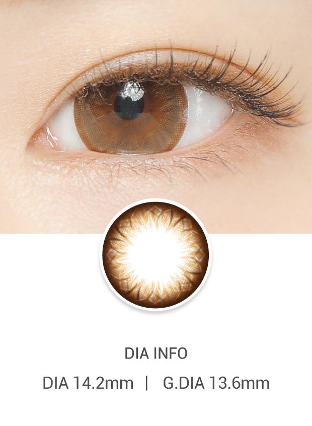 Ann365 Ann 1Day Brown (10p)