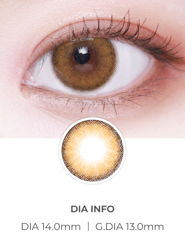 Lensvery Celina 1 Day Brown (10P)