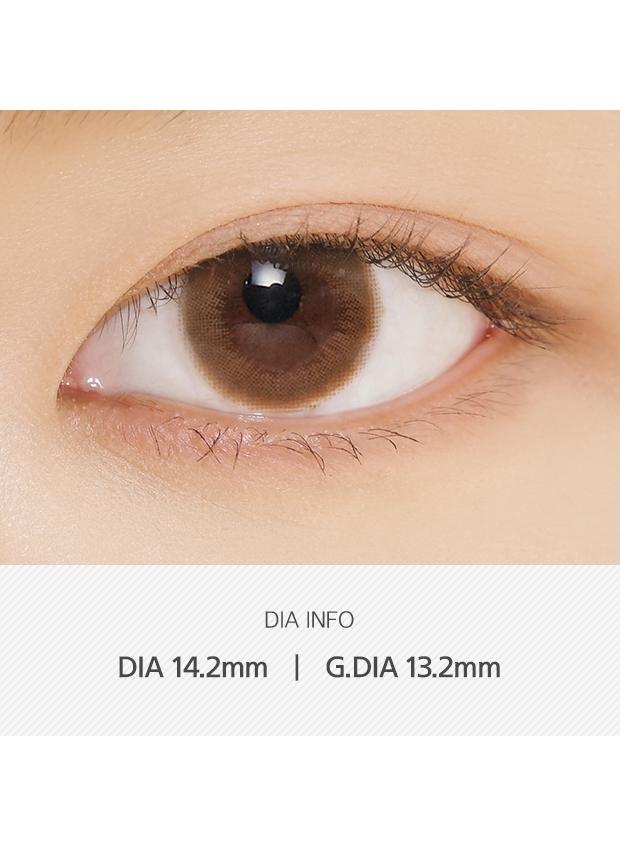 ANN365 Rich Ann 1Day - Latte Brown (6P)