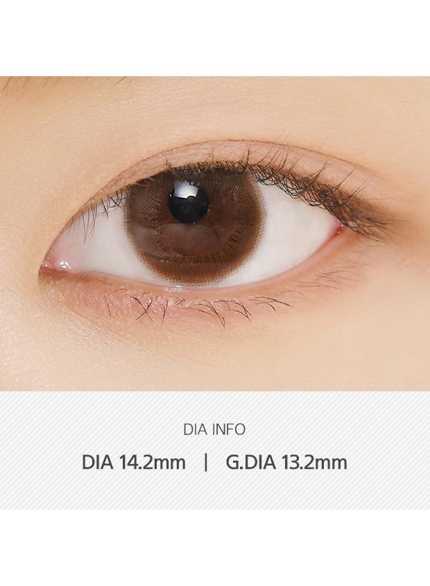 ANN365 Rich Ann 1Day - Cafe Choco (6P)