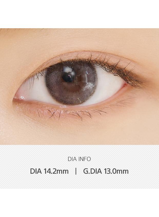 ANN365 Rich Ann 1Day - Indie Gray (6P)