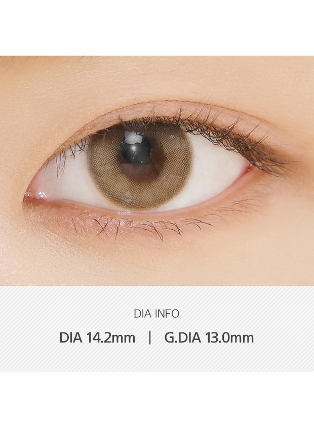 ANN365 Rich Ann 1Day - Indie Brown (6P)