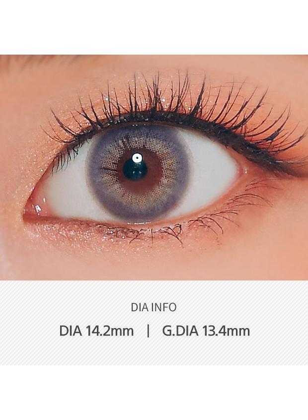 ANN365 Rich Ann 1Day - Mellow Gray  (6P)