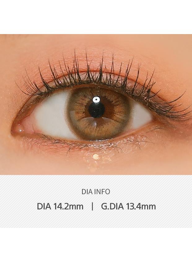 ANN365 Rich Ann 1Day - Mellow Brown (6P)