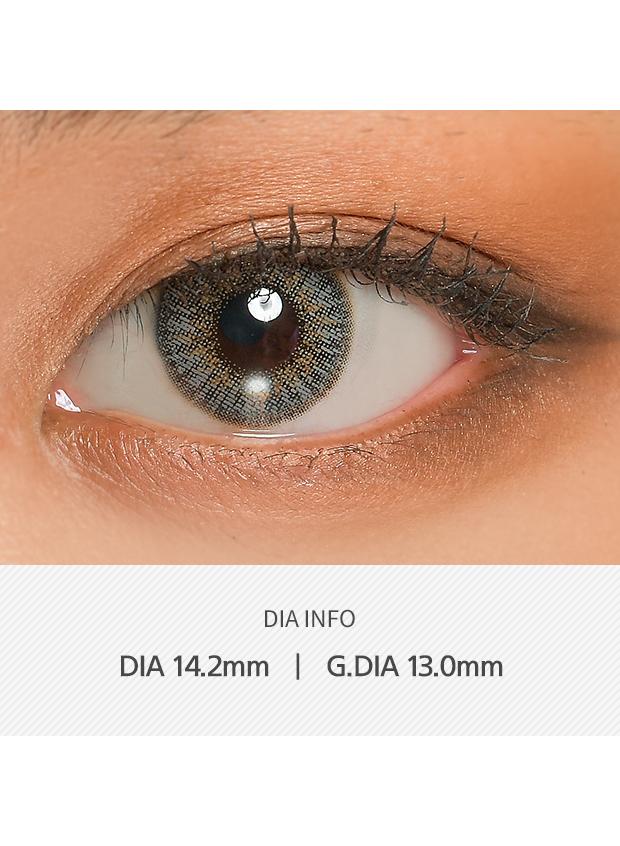 ANN365 Rich Ann 1Day - Shine Gray (6P)