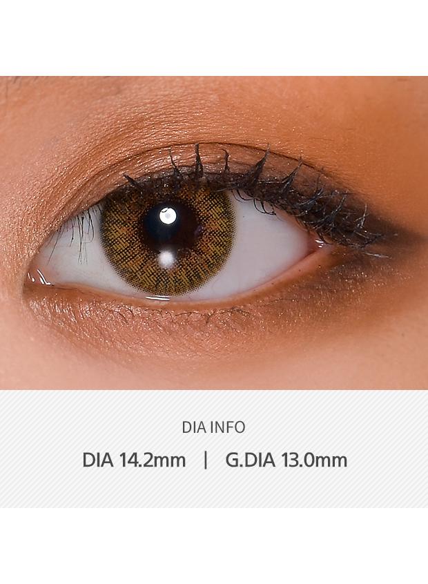 ANN365 Rich Ann 1Day - Shine Brown (6P)