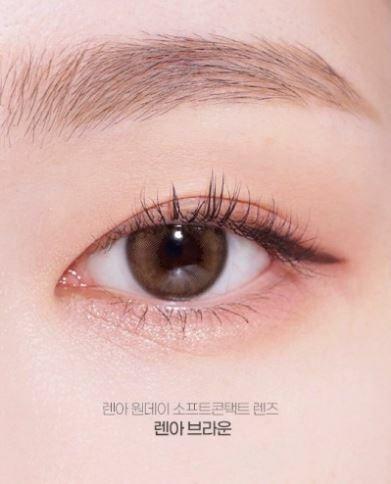 Lenah 1Day Brown (30P)