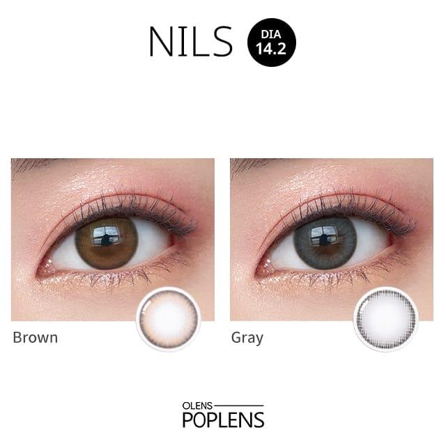 Olens Nils 1Day Gray (20P)