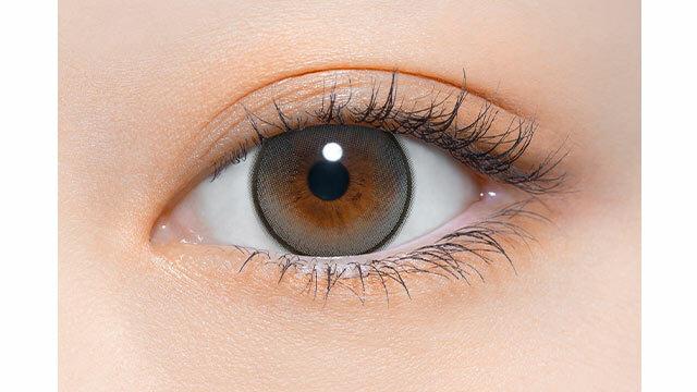 perse - 1 Day Koala Gray (10P)