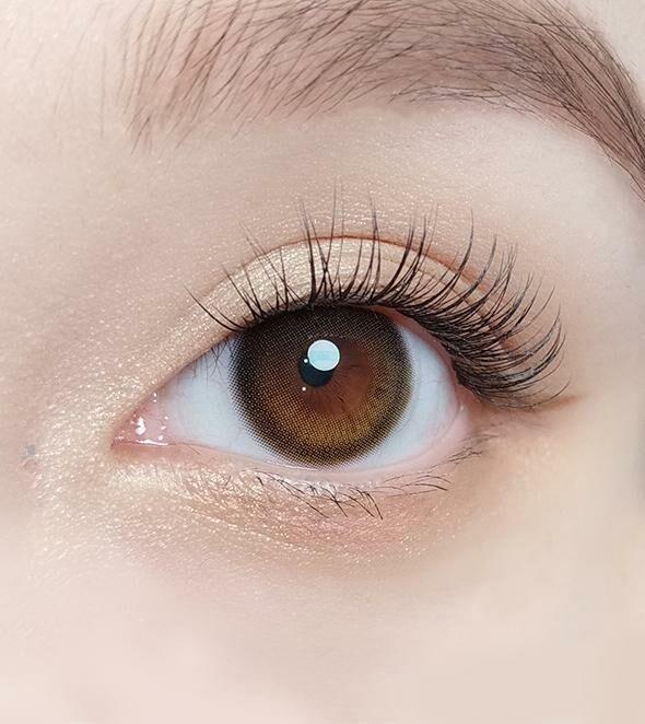 OLOLA - Daymood Brown - 月con