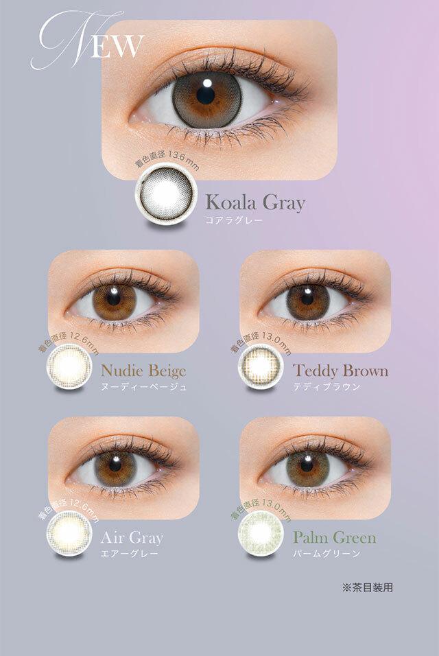 perse - 1 Day Koala Gray (10P)