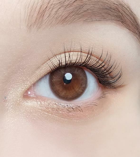 OLOLA - Mellows 1 Day Muse Brown (10P)