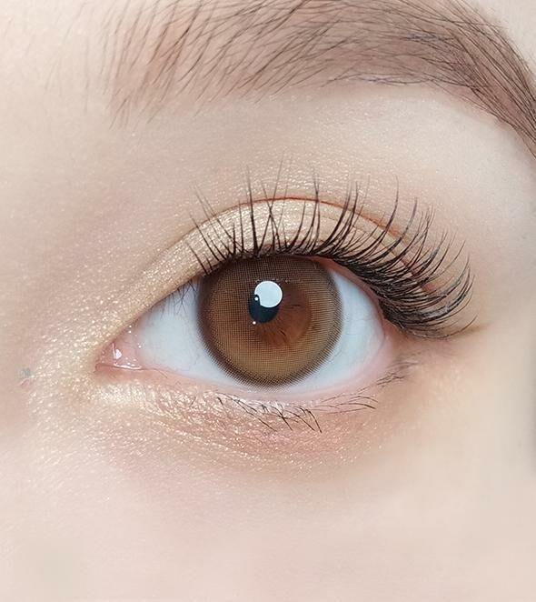 OLOLA - Purity Shine 1 Day Taupe Brown (10P)