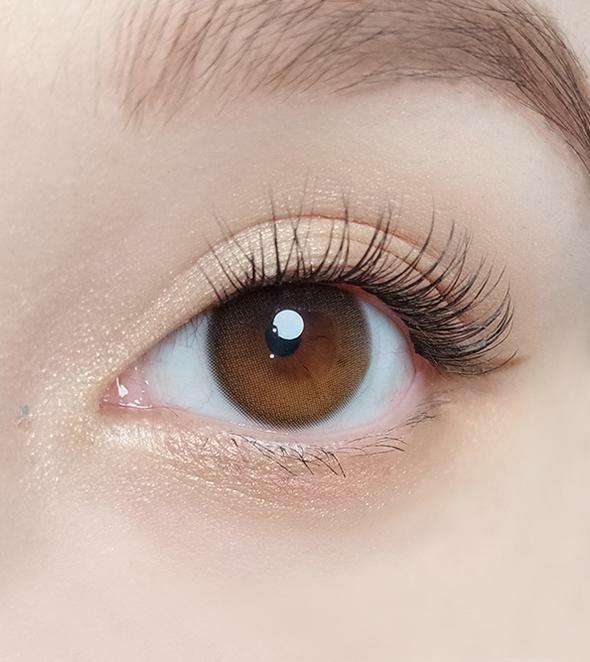 OLOLA - Daymood 1 Day Brown (10P)