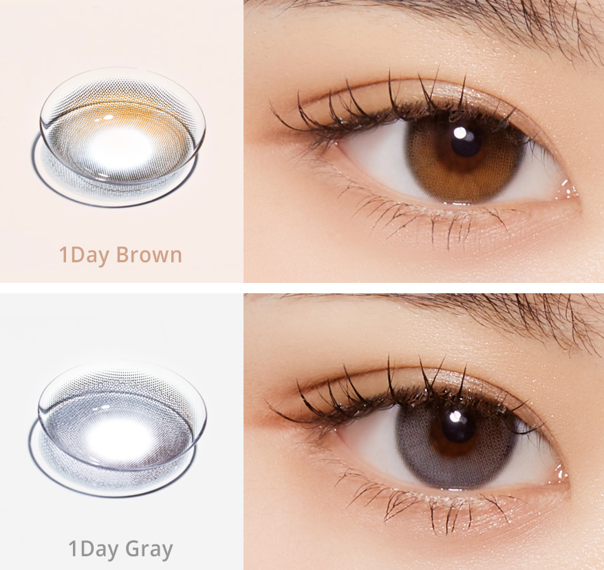 OLOLA - Daymood 1 Day Brown (10P)