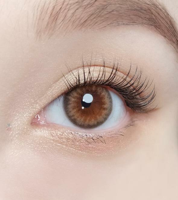 OLOLA - Dazzling 1 Day Rosie Hazel (10P)