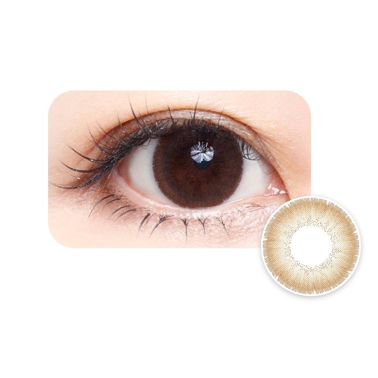 Kukka 1 Day - Lily Brown (10P)