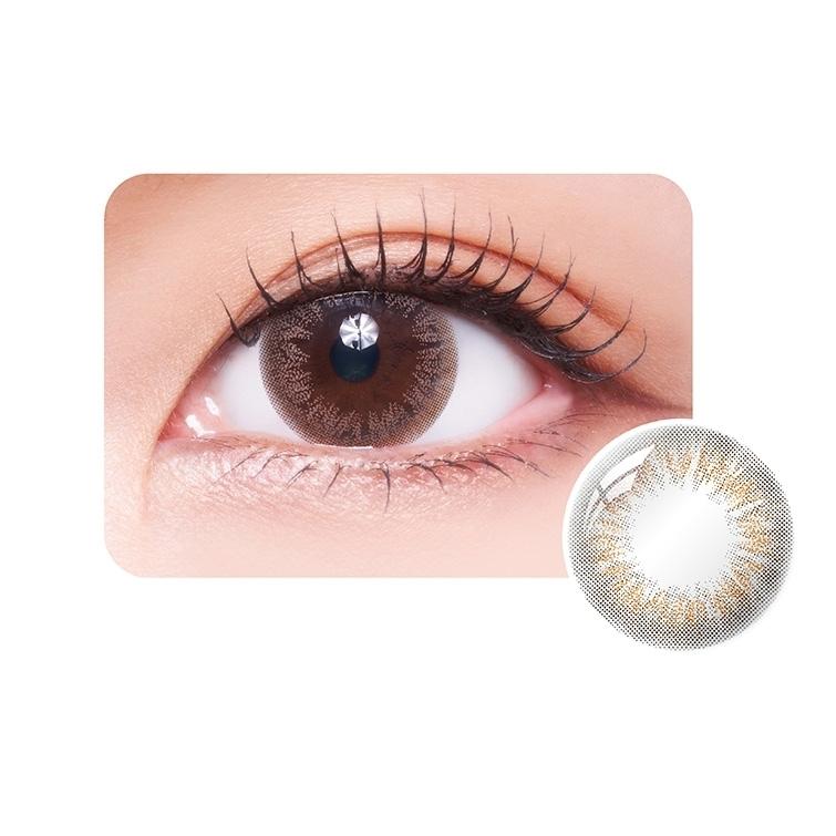 Timido 1 Day - Cute Brown (10P)