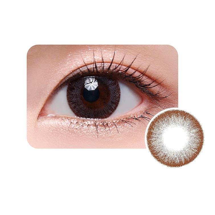 Timido 1 Day - Kiss Brown (10P)