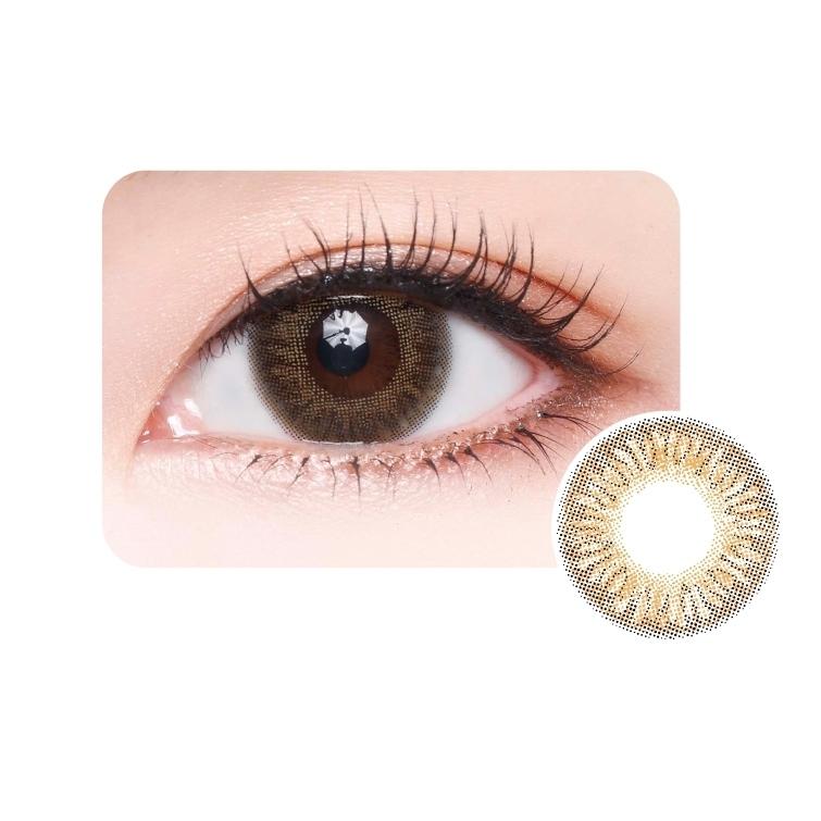 Milovat 1 Day - Chiffon Brown (10P)