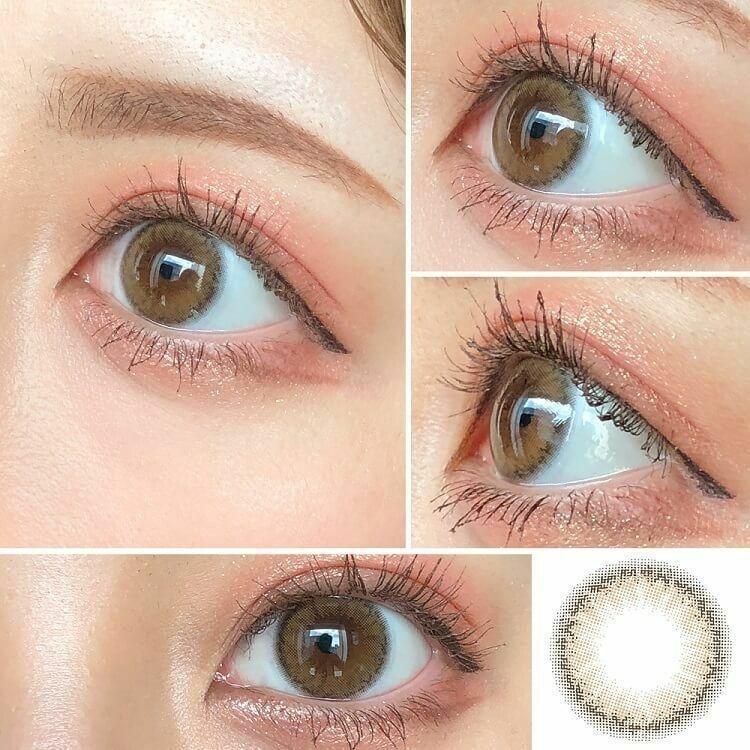 Cheritta - 1day Puppy Brown (10P)