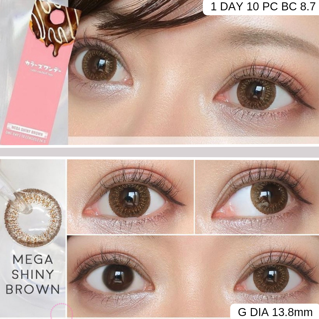 Colors1d 1 day - Mega Shiny Brown