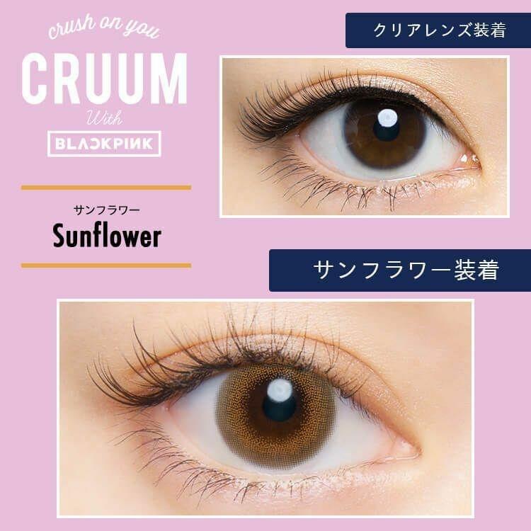 CRUUM - #145 1 Day Sunflower (10P)