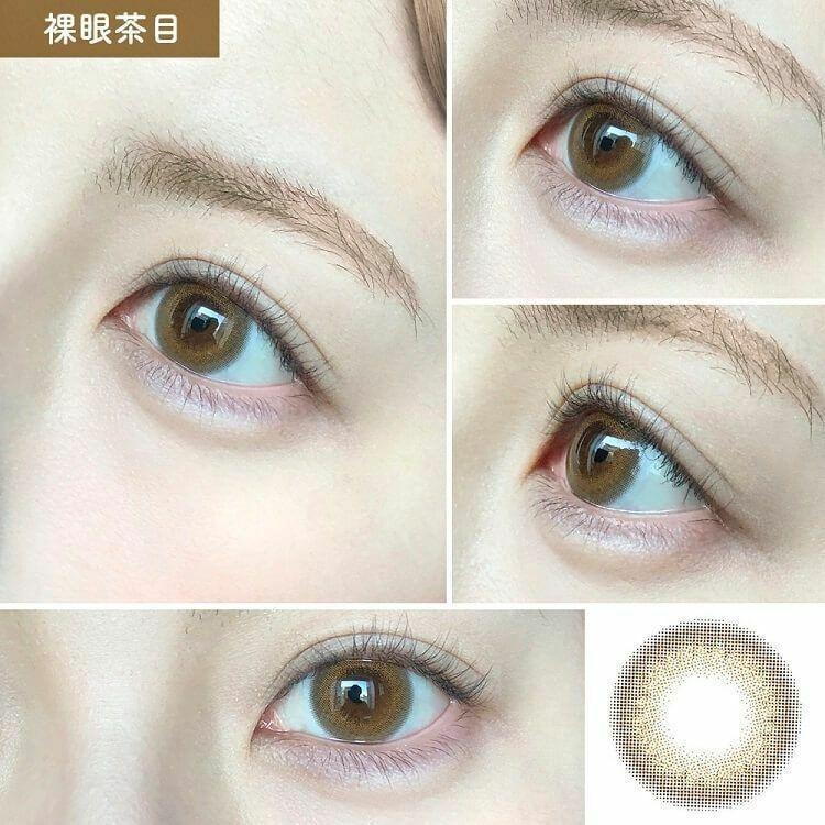 CRUUM - #145 1 Day Sunflower (10P)