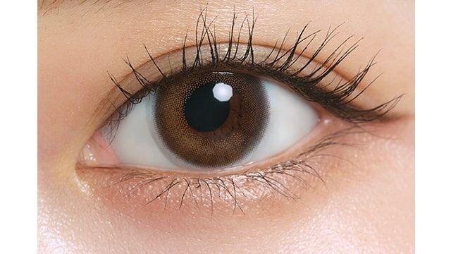 efos - 1 Day dewy brown (10P)