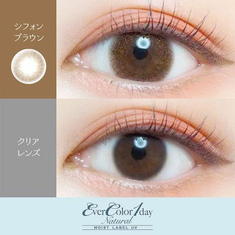 EverColor -1day Natural MOIST LABEL UV - Chiffon Brown  (20P)