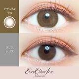 EverColor - 1day Natural - Natural Mocha (20P)
