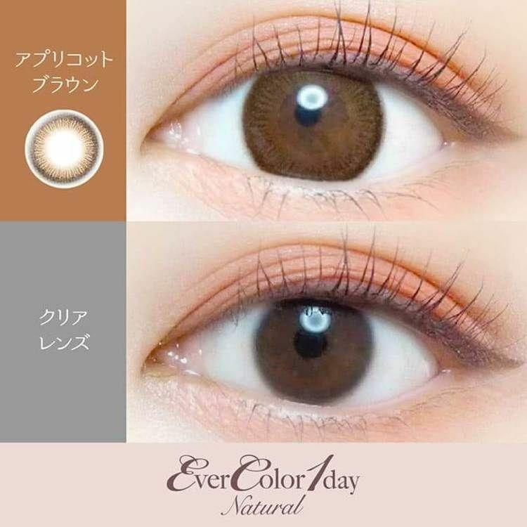 EverColor - 1day Natural - Apricot Brown (20P)