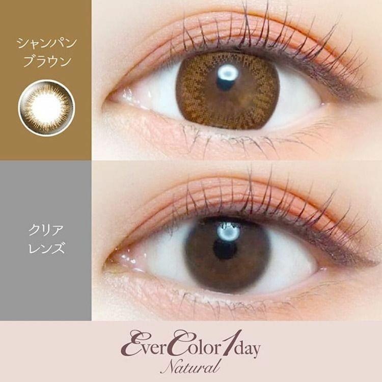 EverColor - 1day Natural - Champagne Brown (20P)