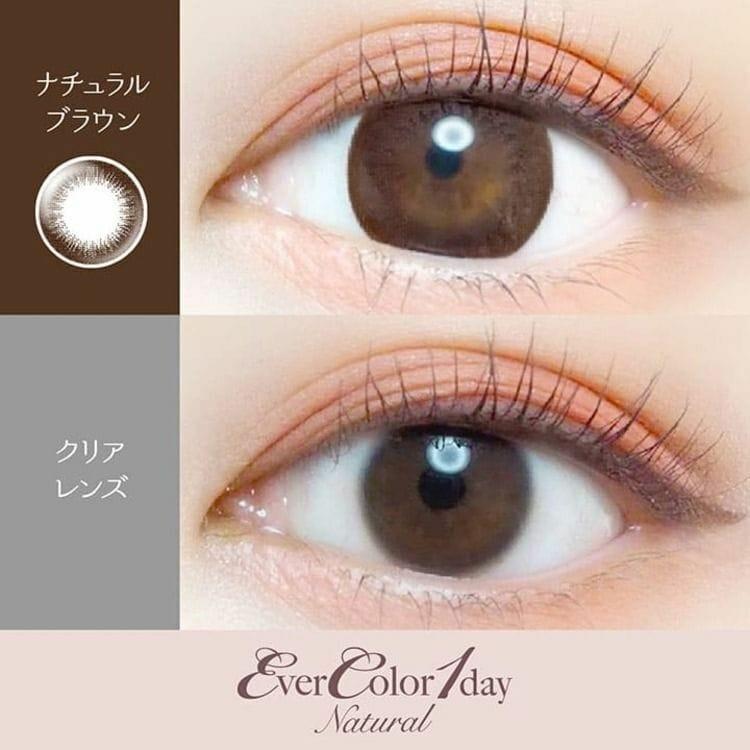 EverColor - 1day Natural - Natural Brown (20P)