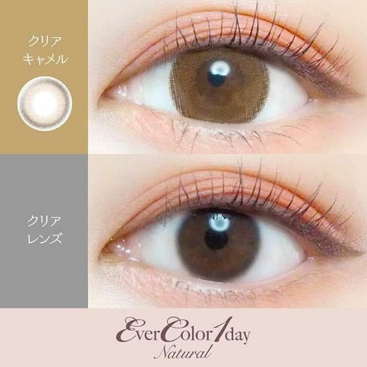EverColor - 1day Natural Clear Camel (20P)