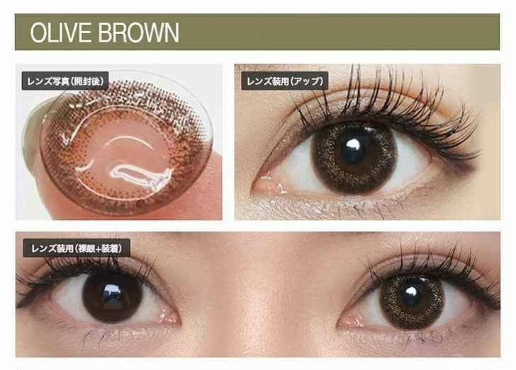 Envie - UV 1 Day Olive Brown (10P)
