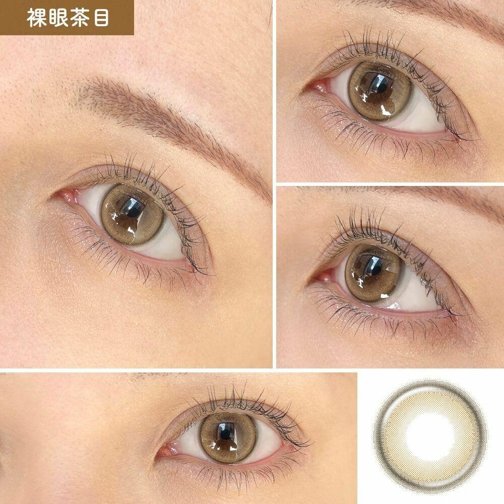 eye closet - 1 Day View Rosetta Milky Ring (10P)