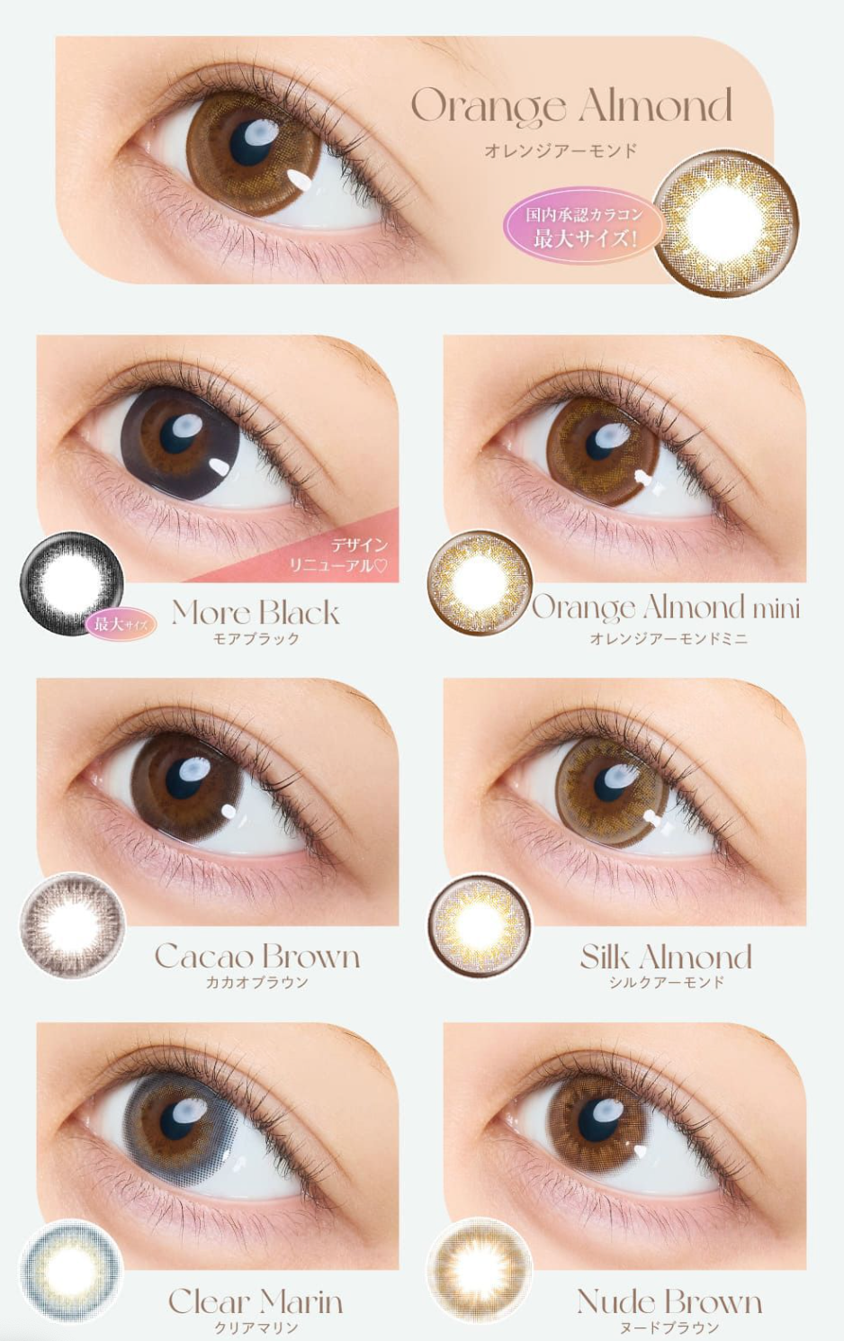 eye closet - 1 Day Sweet Series Cacao Brown (10P)