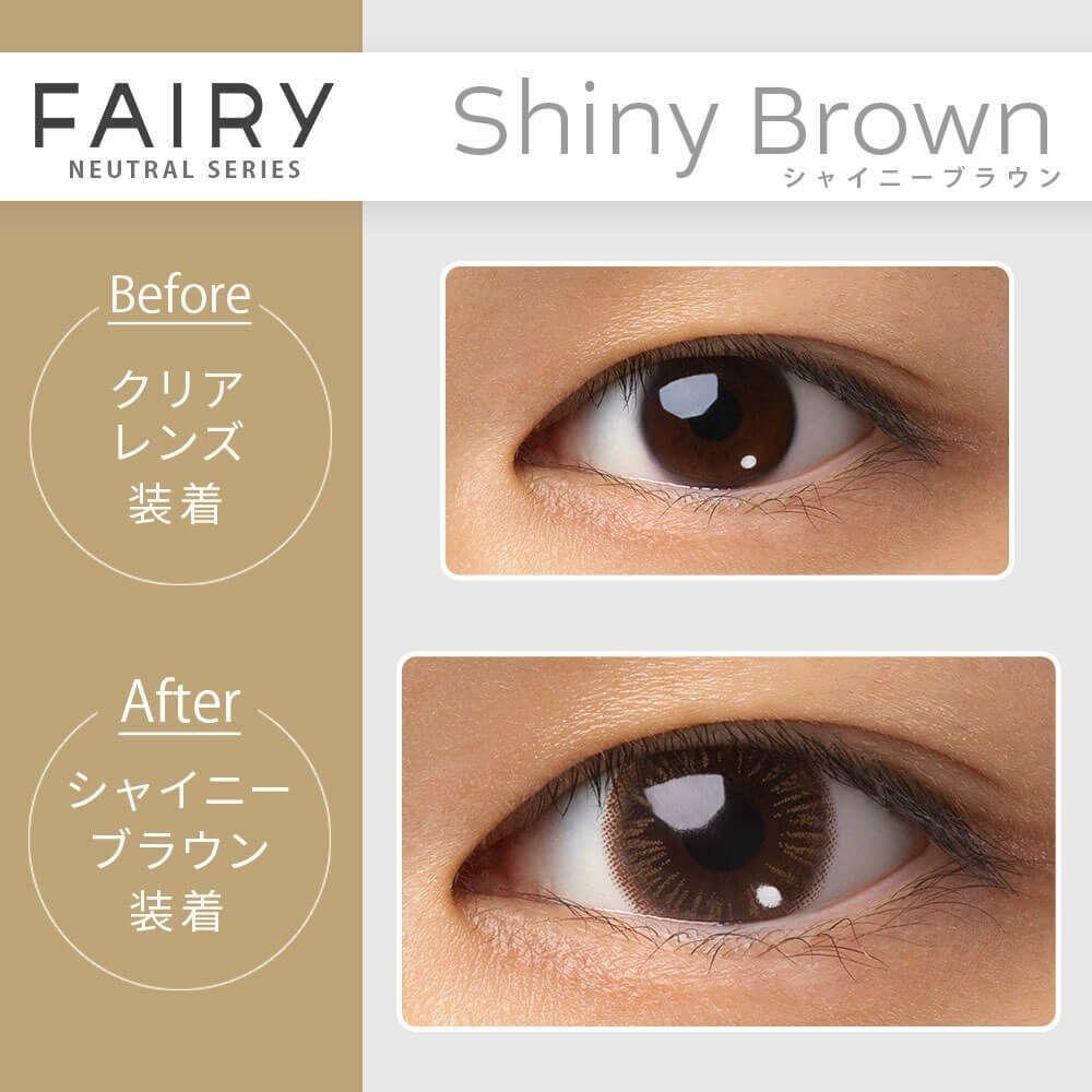 FAIRY - 1day NEUTRAL SERIES - Shiny Brown (10P)