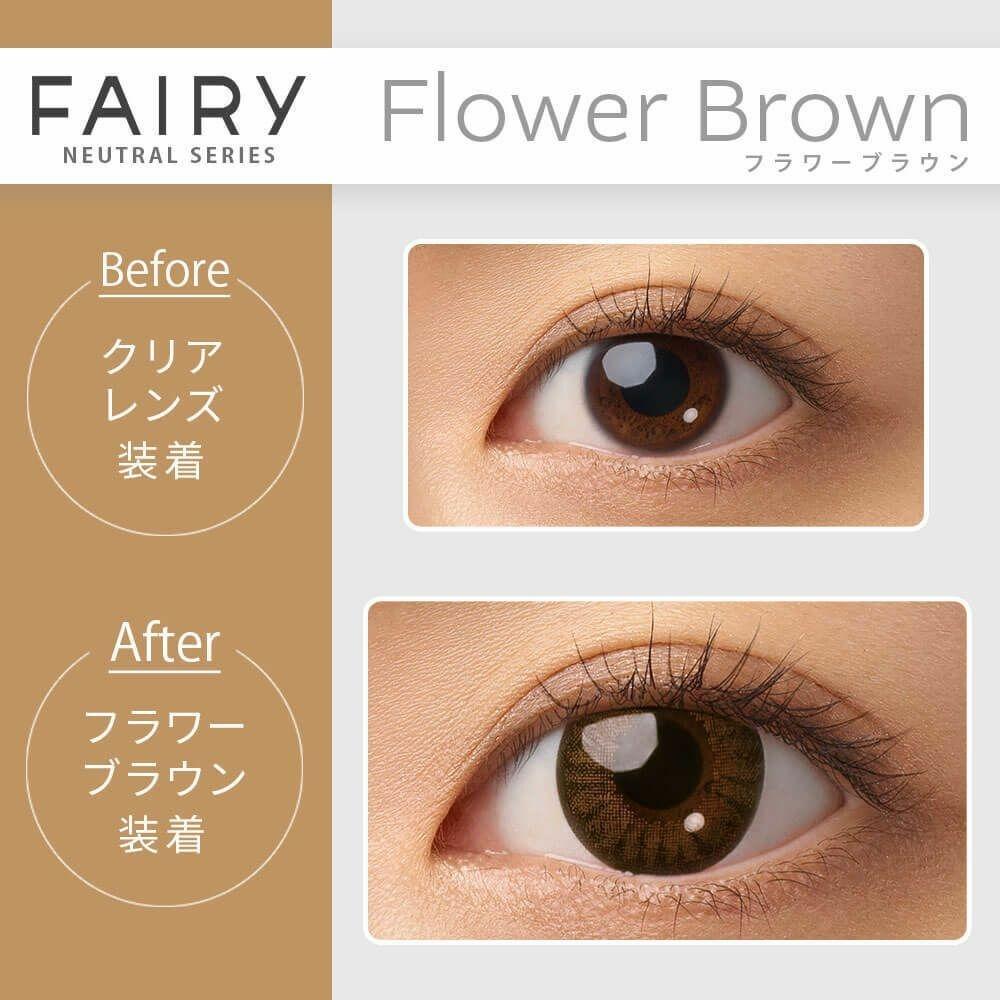 FAIRY - 1day NEUTRAL SERIES - Flower Brown (10P)