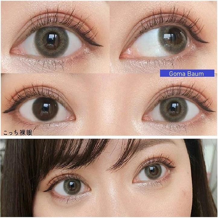 Flanmy 1 day - Sweet series - Goma Baum (30P)