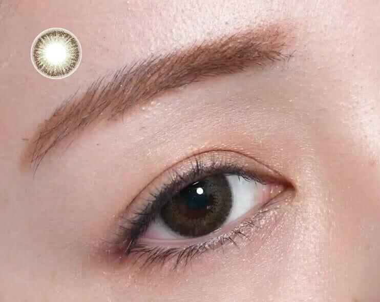 Flanmy 1 day - Sweet series - Matcha Tart  (10P)