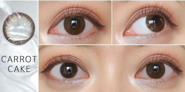 Flanmy 1 day - Sweet series - Carrot Cake (10P)