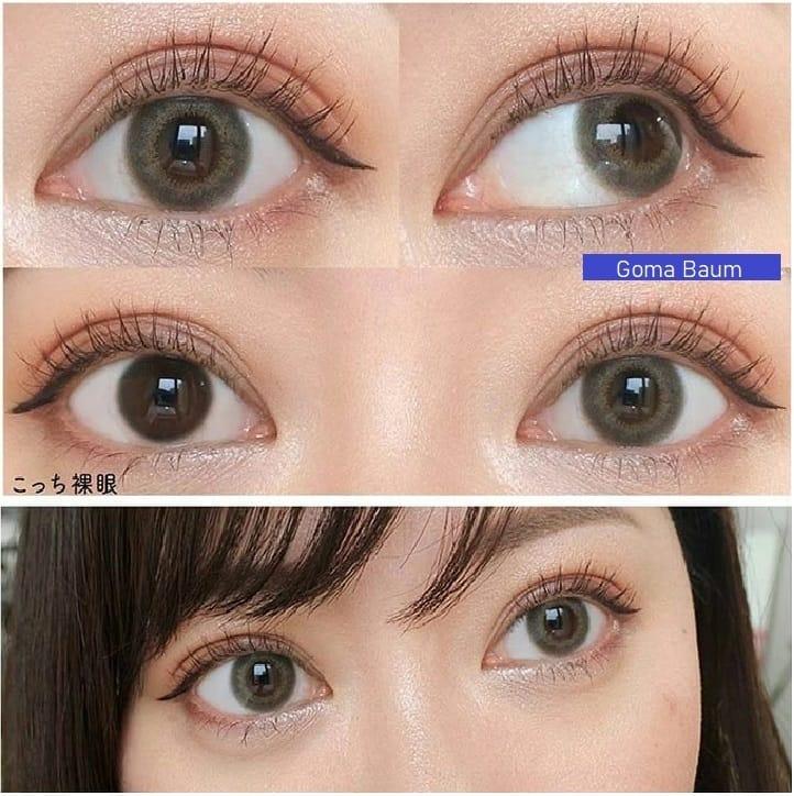 Flanmy 1 day - Sweet series - Goma Baum (10P)