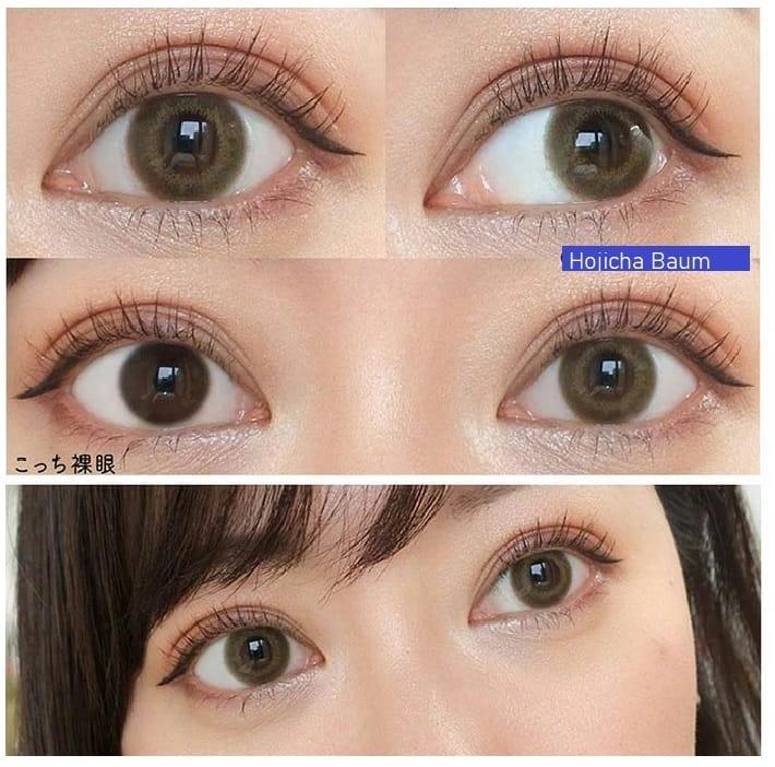 Flanmy 1 day - Sweet series - Hojicha Baum (10P)