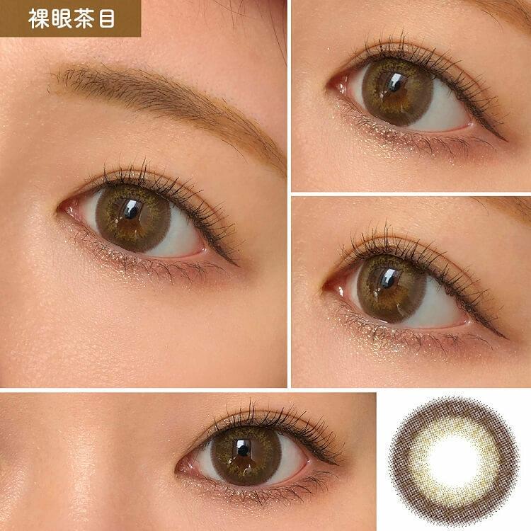 Flurry 1 day - Kurikuri Poodle